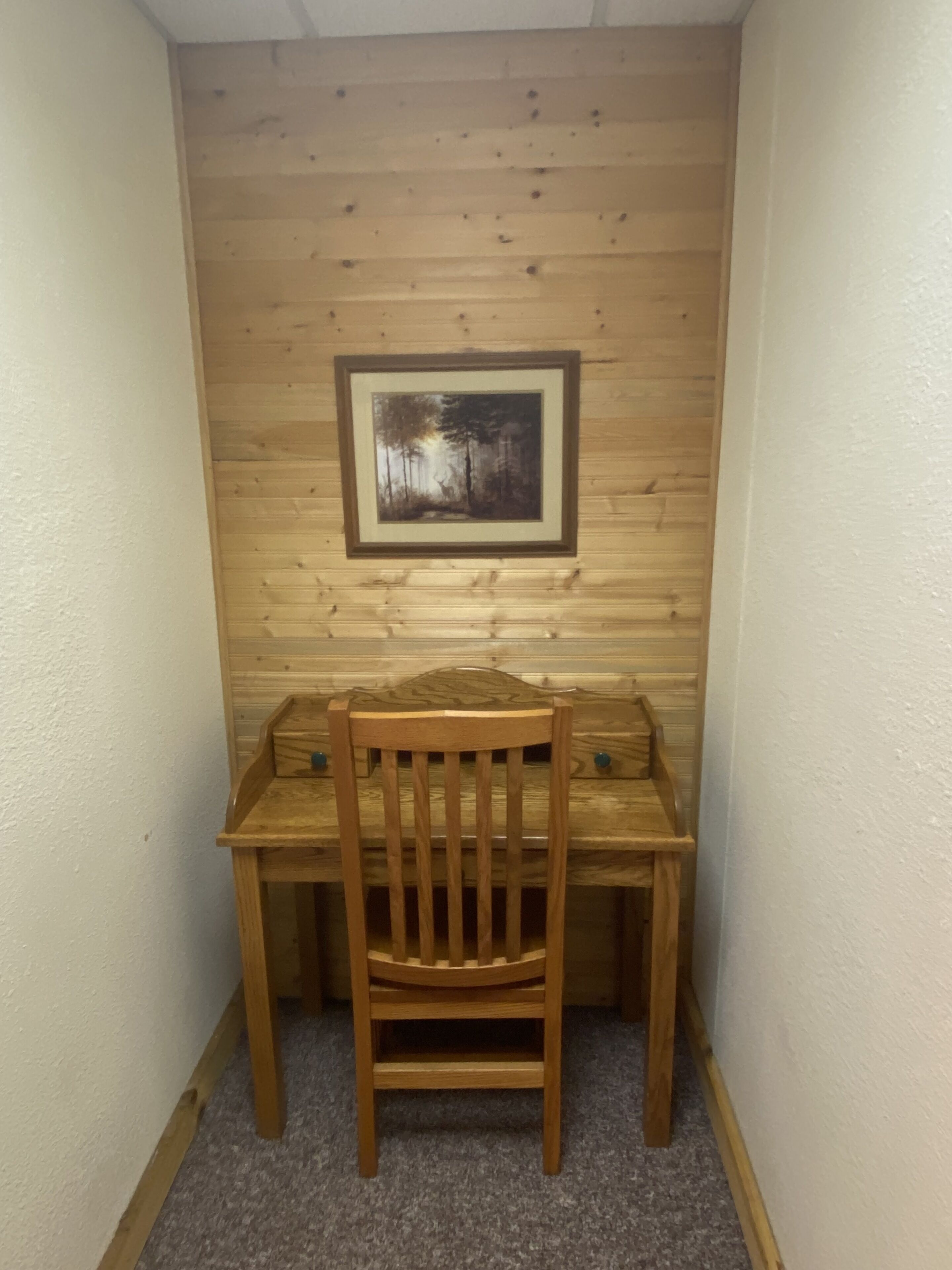 A corner room with a wooden desk and chair, a framed picture on the wall, and carpeted flooring.