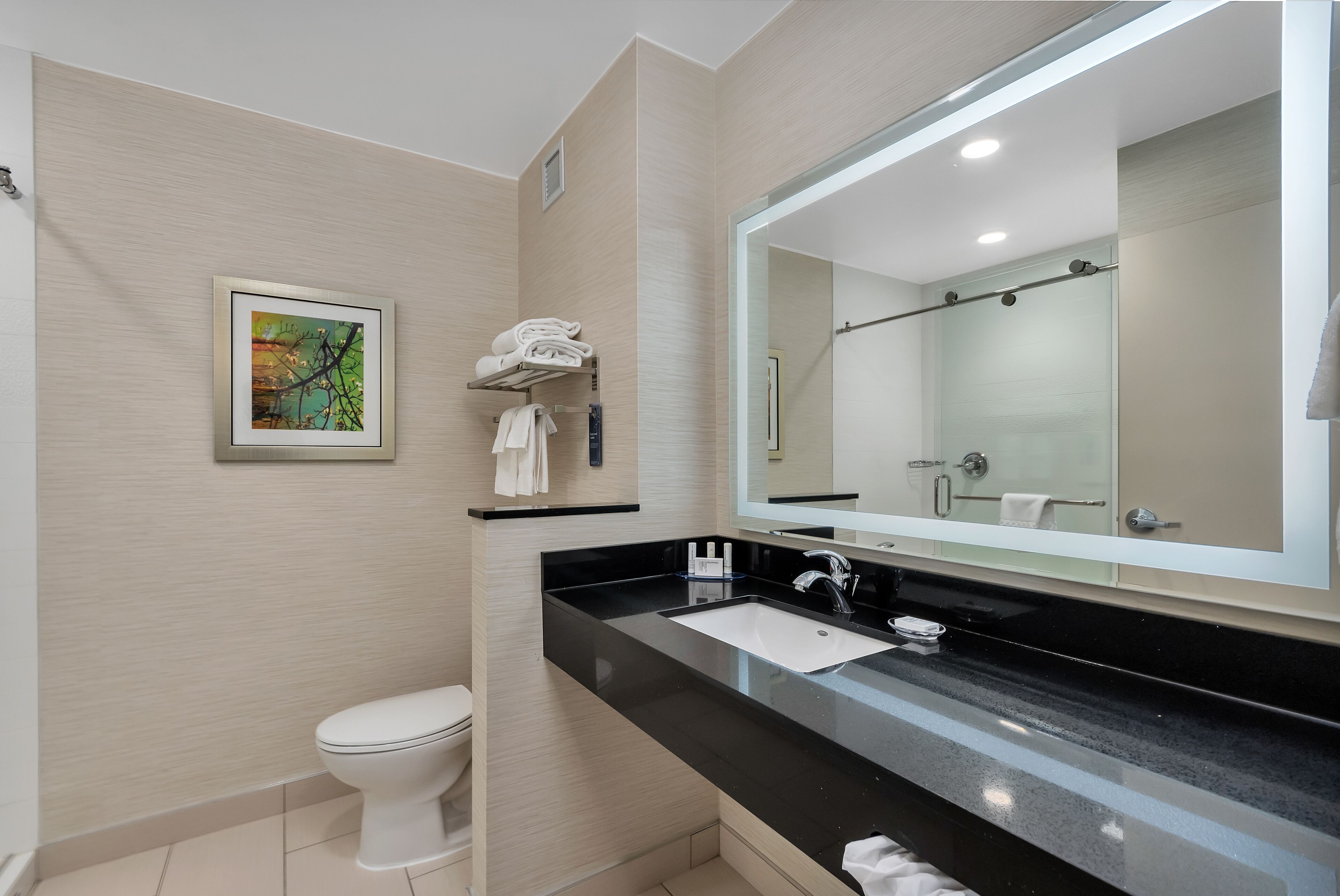 room, 1 king bed, non smoking | bathroom | free toiletries, hair dryer, towels