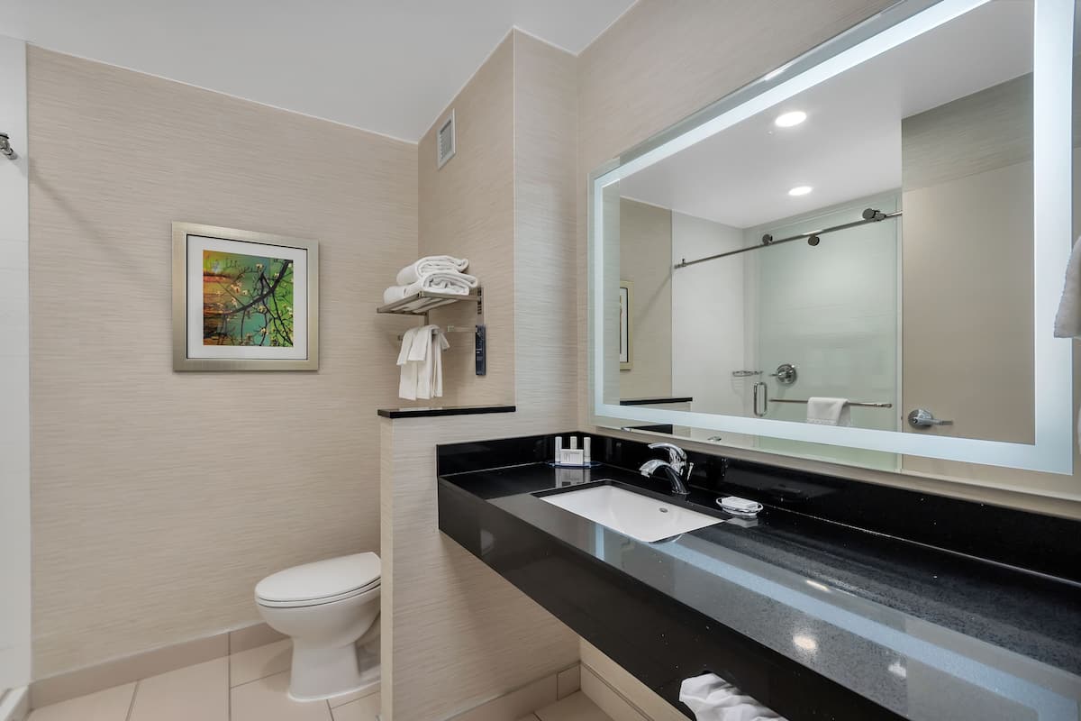 room, 1 king bed, non smoking | bathroom | free toiletries, hair dryer, towels