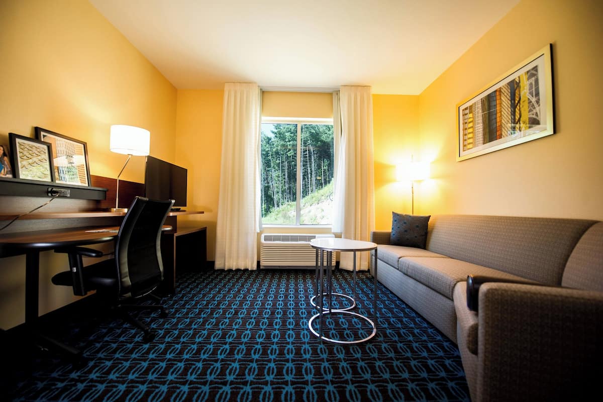A hotel room with a desk, chair, sofa, and a view of a forest through a window.