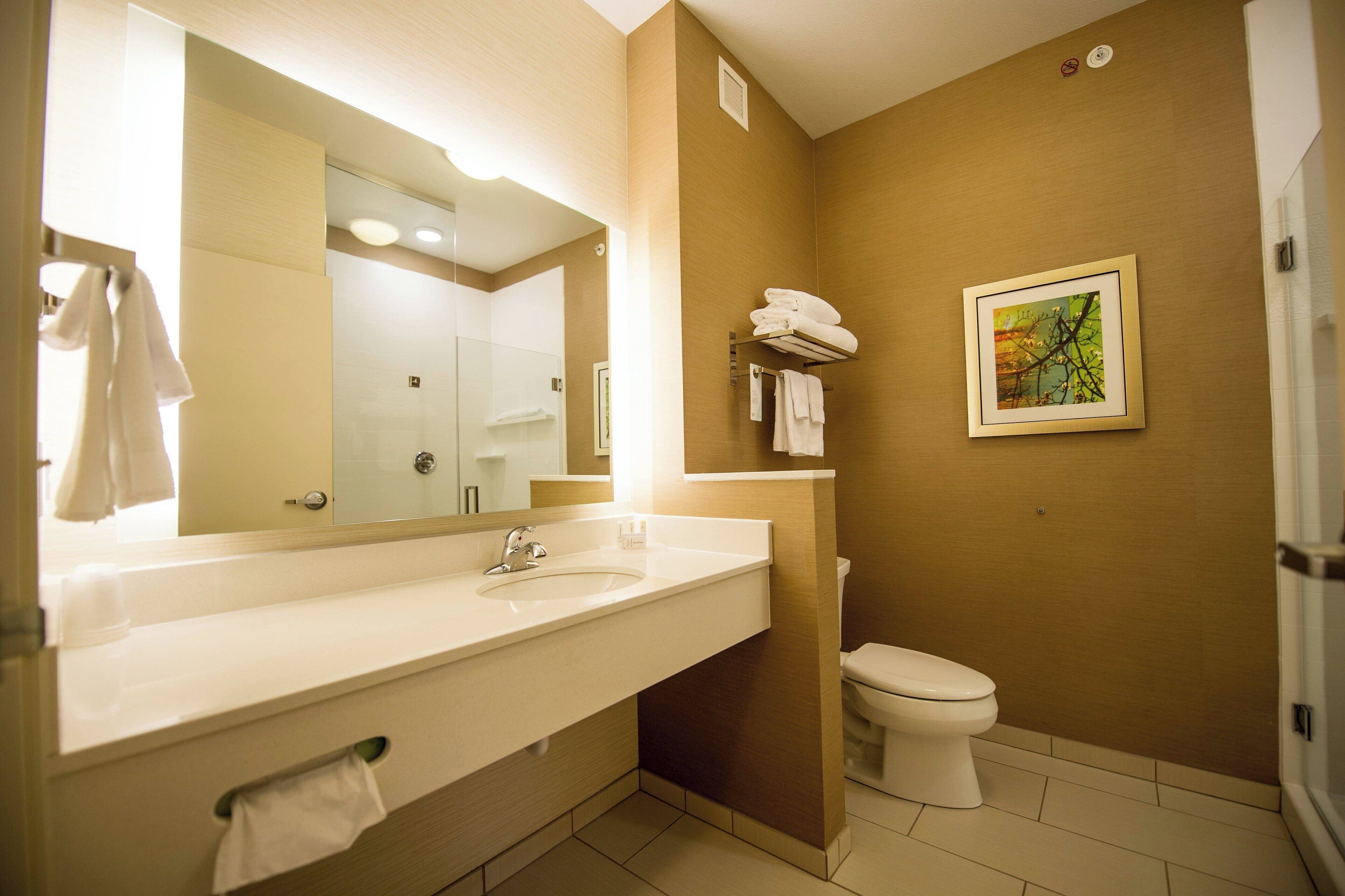A bathroom with a large mirror, a sink, a toilet, and a towel rack.