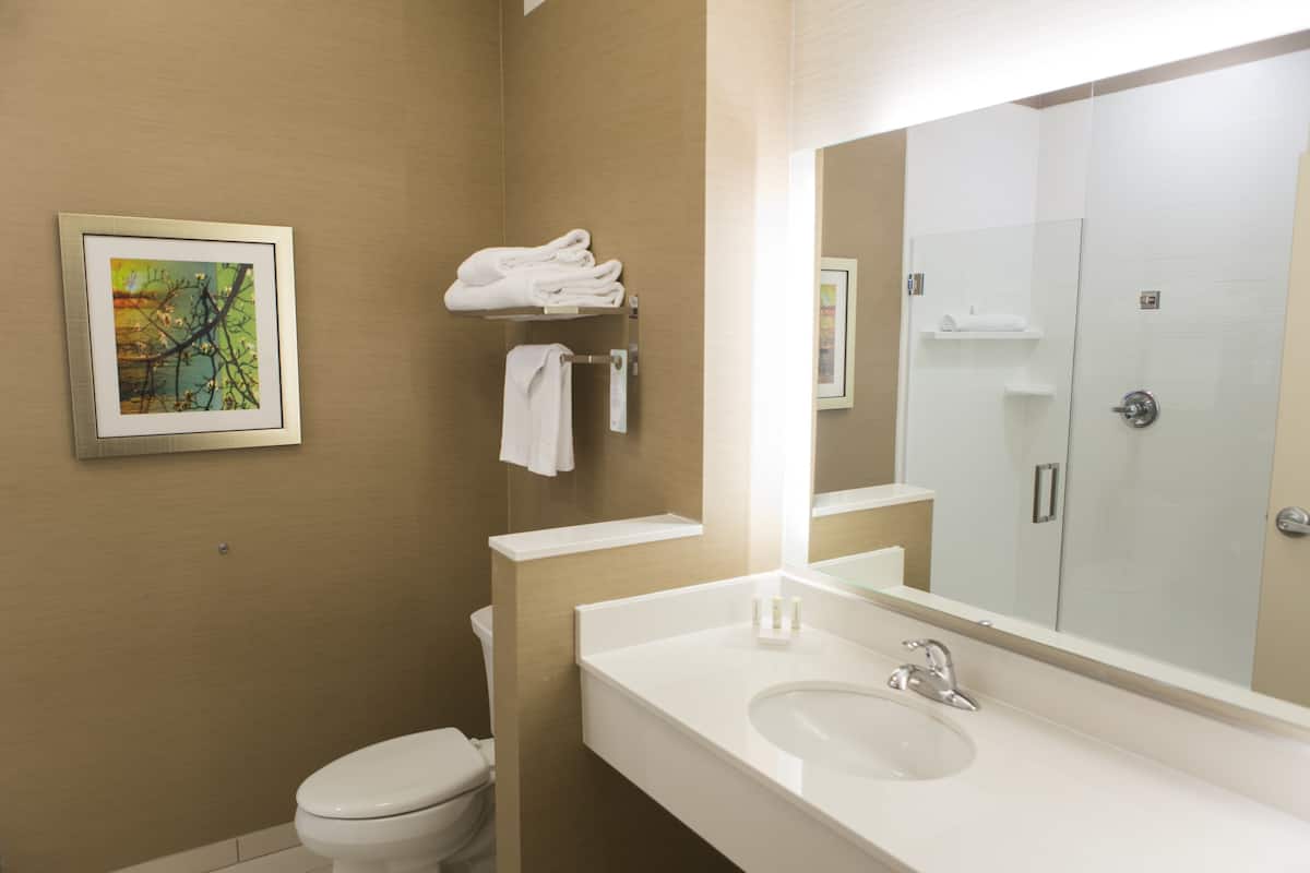 shower, free toiletries, hair dryer, towels