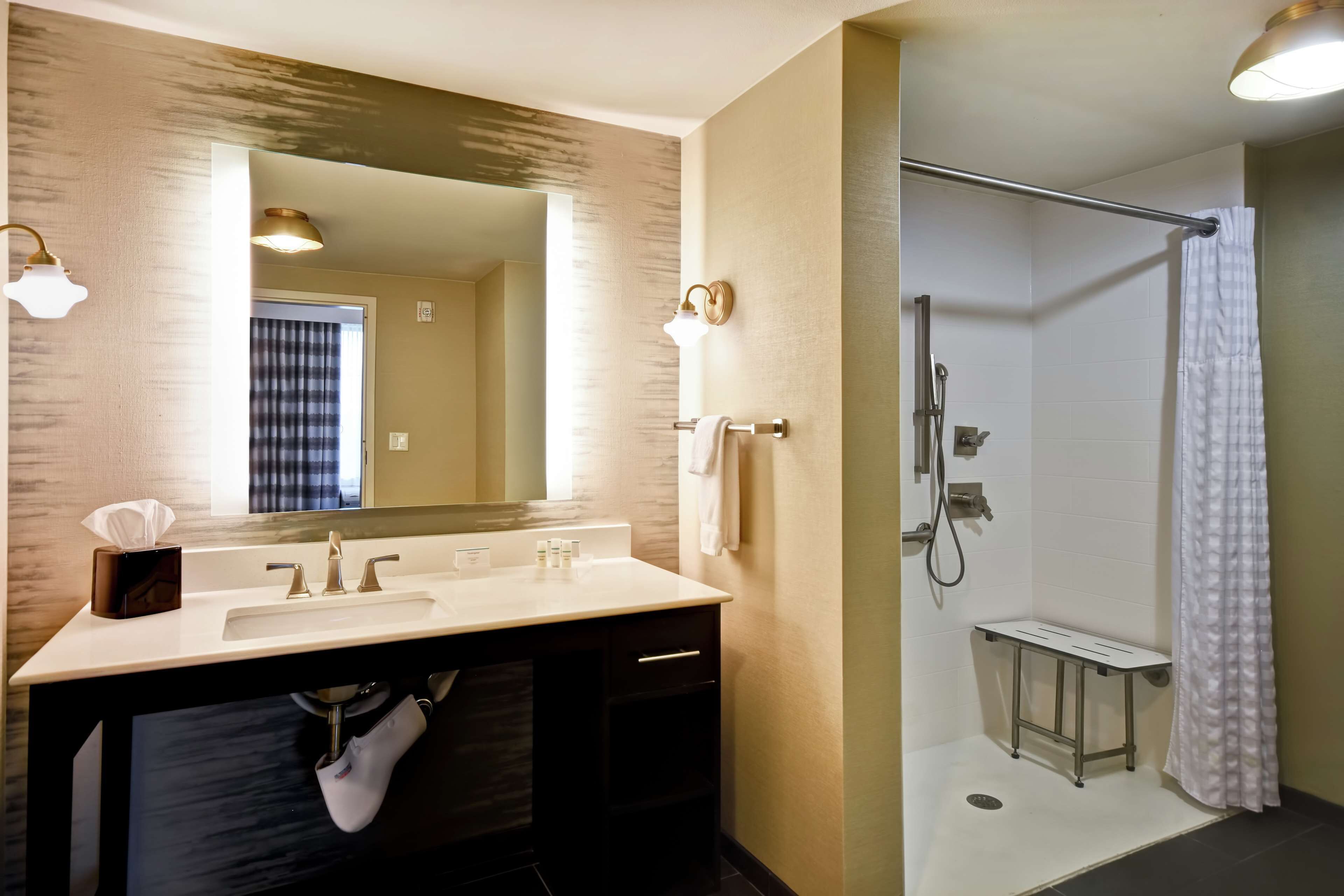 suite, 1 king bed, accessible, non smoking (roll in shower) | bathroom shower