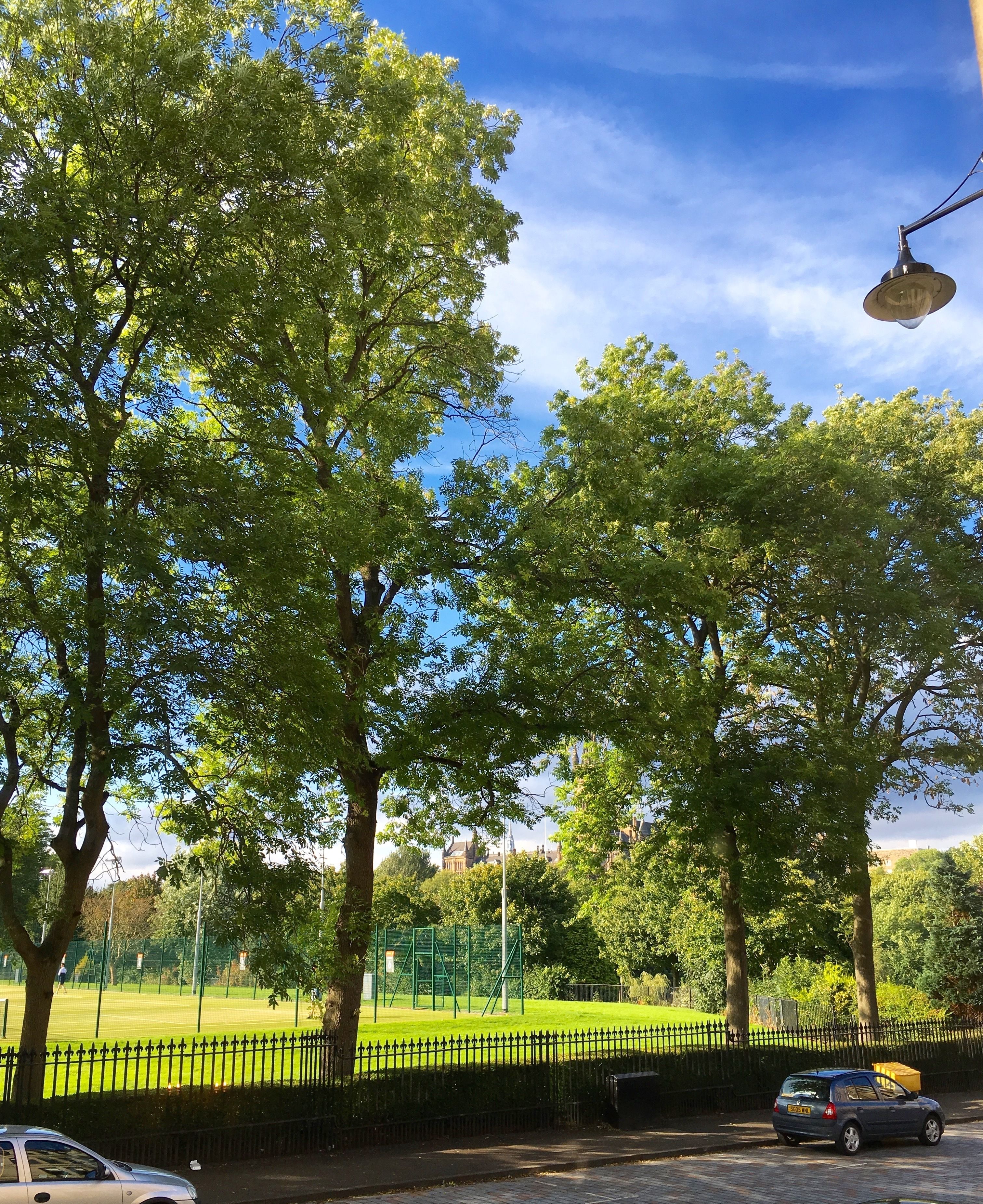 Un parque con césped verde, árboles, una valla y una farola.