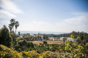A coastal landscape with residential buildings, palm trees, and a view of the sea.