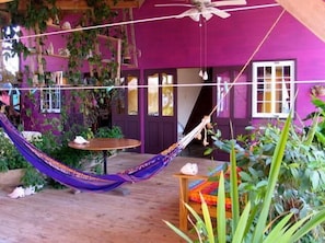 A hammock in a room with purple walls and a ceiling fan. - Purple House- Over the Water Rentals (Bocas del Toro)
