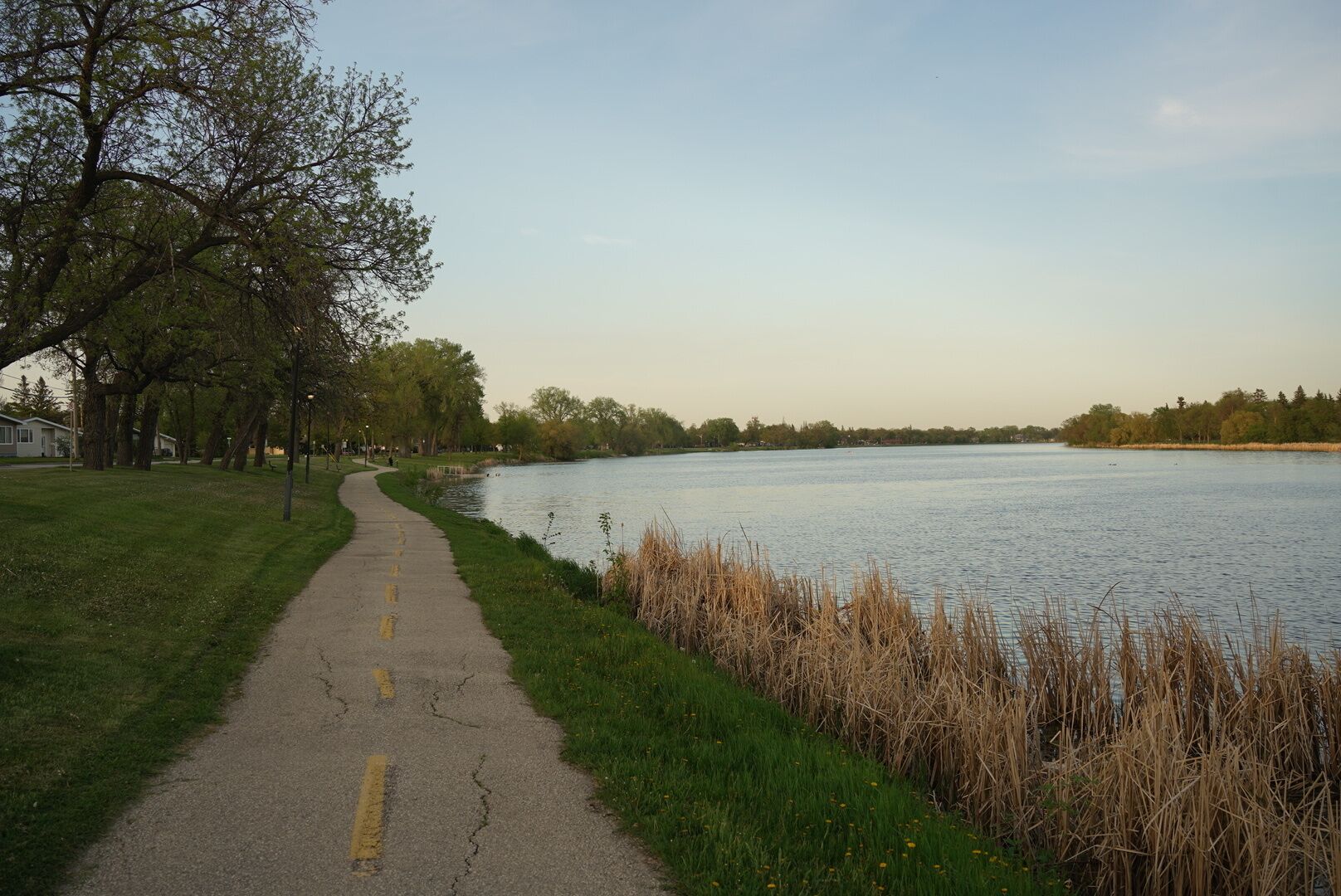 A paved path alongside a body of water, bordered by grass and trees.