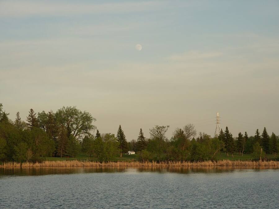 Un lago tranquilo con árboles y un edificio pequeño a lo lejos.