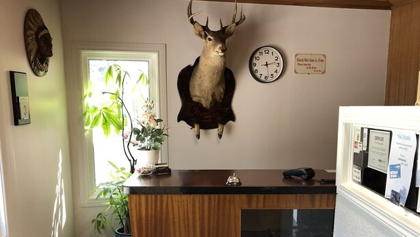 A room with a wooden ceiling, a deer head mounted on the wall, a clock, a plant, and a reception desk with a glass partition. - Yellow Quill Motel (Portage La Prairie)