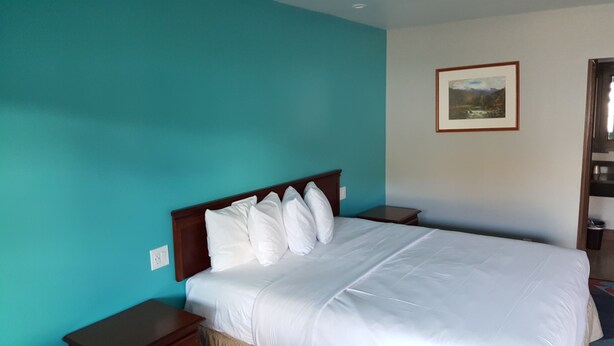 Ein Hotelzimmer mit einem Bett, zwei Nachttischen, einem einzelnen Wandbild und teal-farbenen Wänden.