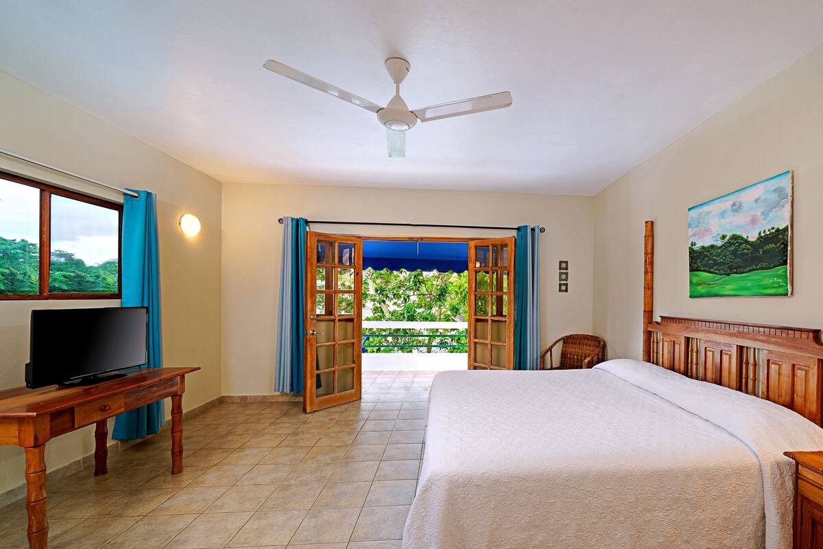 Habitación de hotel con cama, televisión sobre una mesa de madera, ventilador de techo, un cuadro y vistas a zonas verdes a través de la puerta abierta.