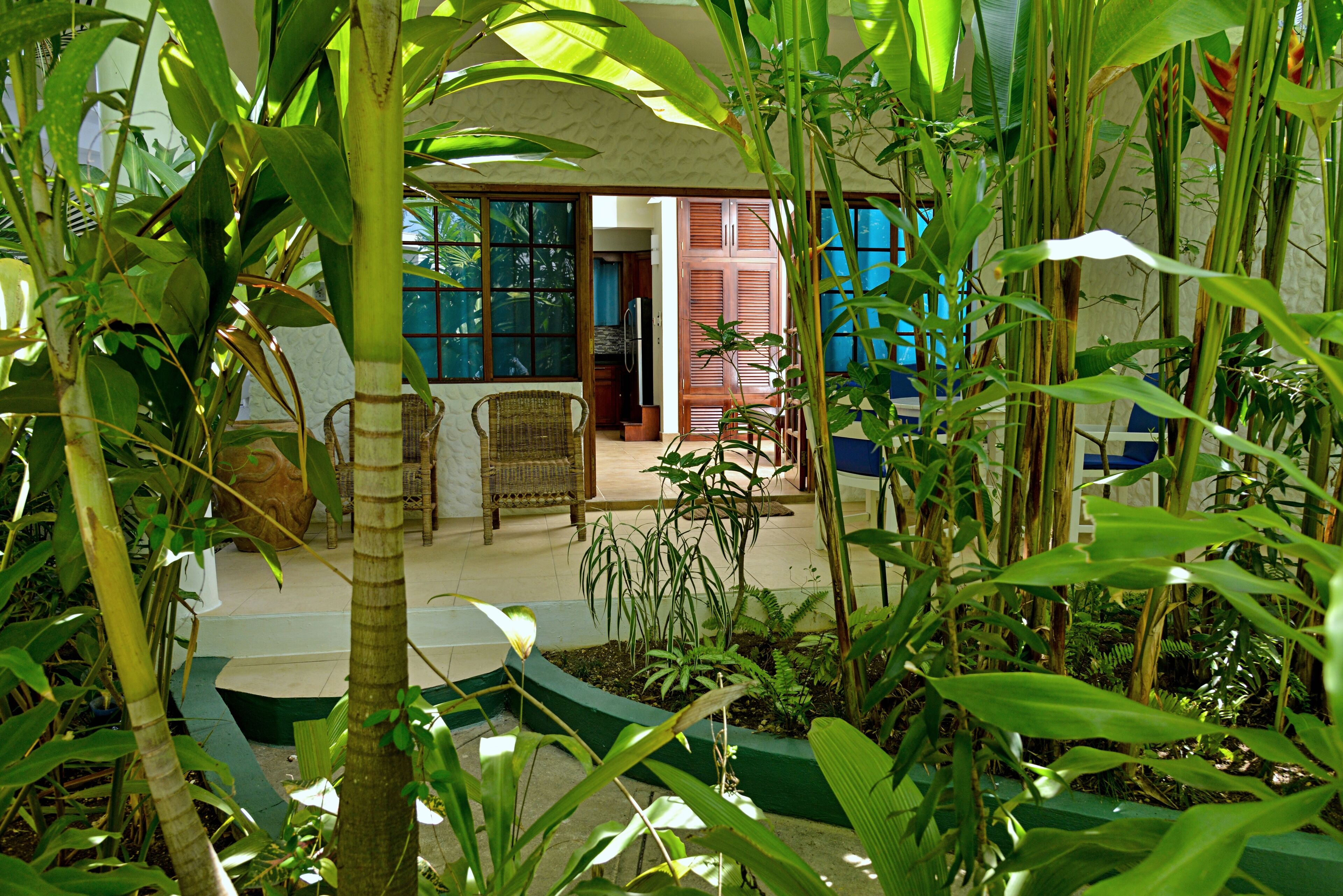 A lush indoor garden with a seating area, a kitchen, and a dining space.