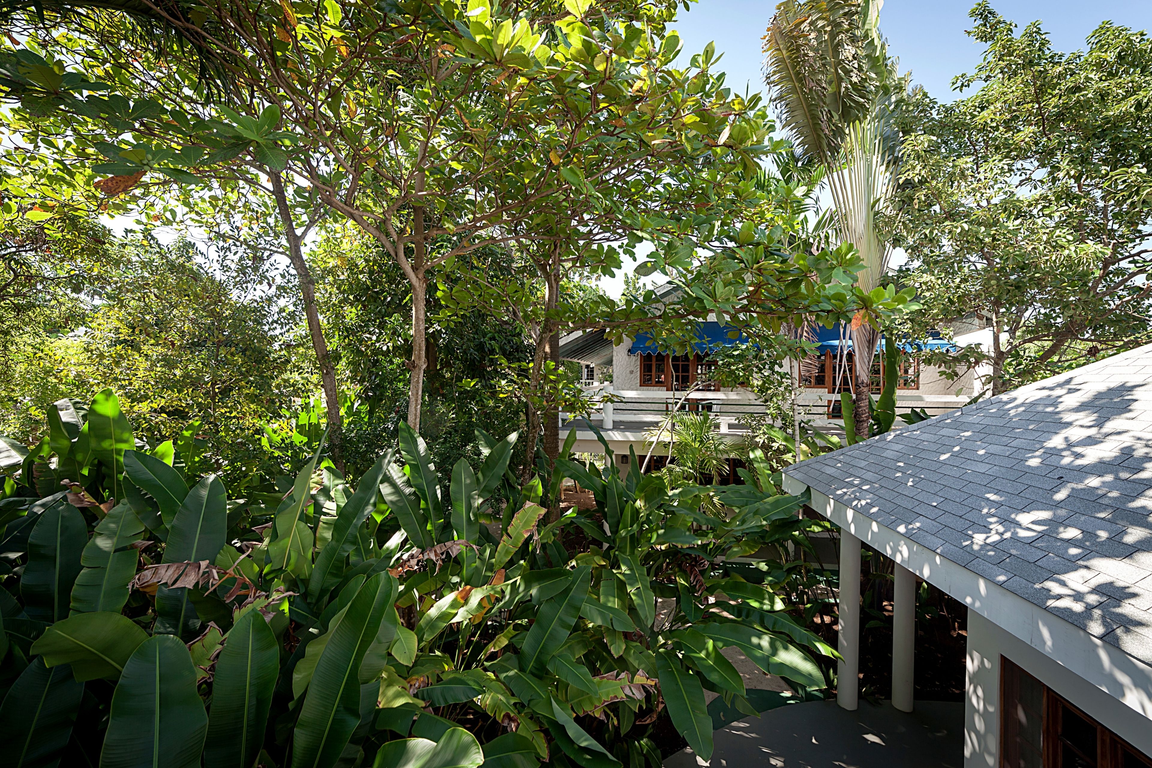 Jungle House Tree Top | Terraza o patio