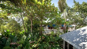 Ein Haus mit überdachter Veranda, umgeben von üppiger, grüner Vegetation und einer Palme.