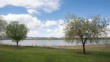 A lakeside view with two trees and a clear sky.