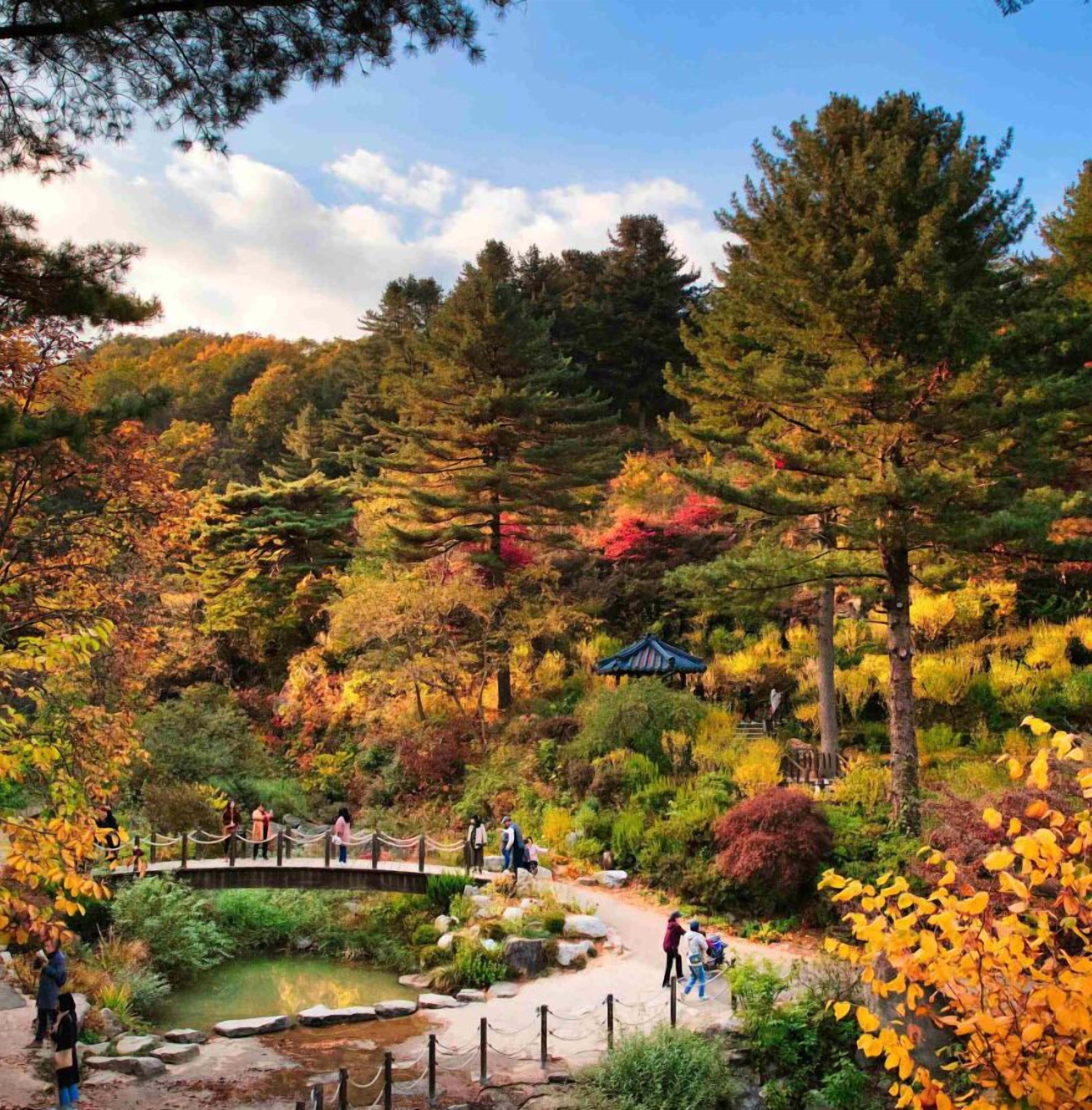 family room (a/b type randomly assigned) | 1 bedroom, individually decorated, individually furnished, free wifi