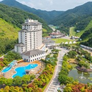 엘리시안 강촌 리조트