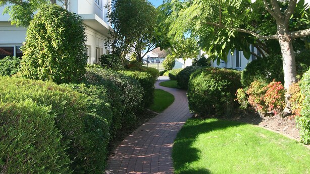 A paved pathway leading to a building with a white facade and multiple windows, surrounded by lush greenery and palm trees. - Pacific Palms Resort (Tauranga)