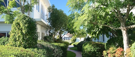 Garden view