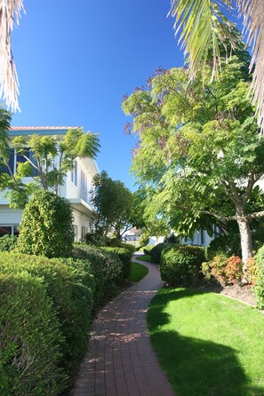 A paved pathway leading to a building with a white facade and multiple windows, surrounded by lush greenery and palm trees.