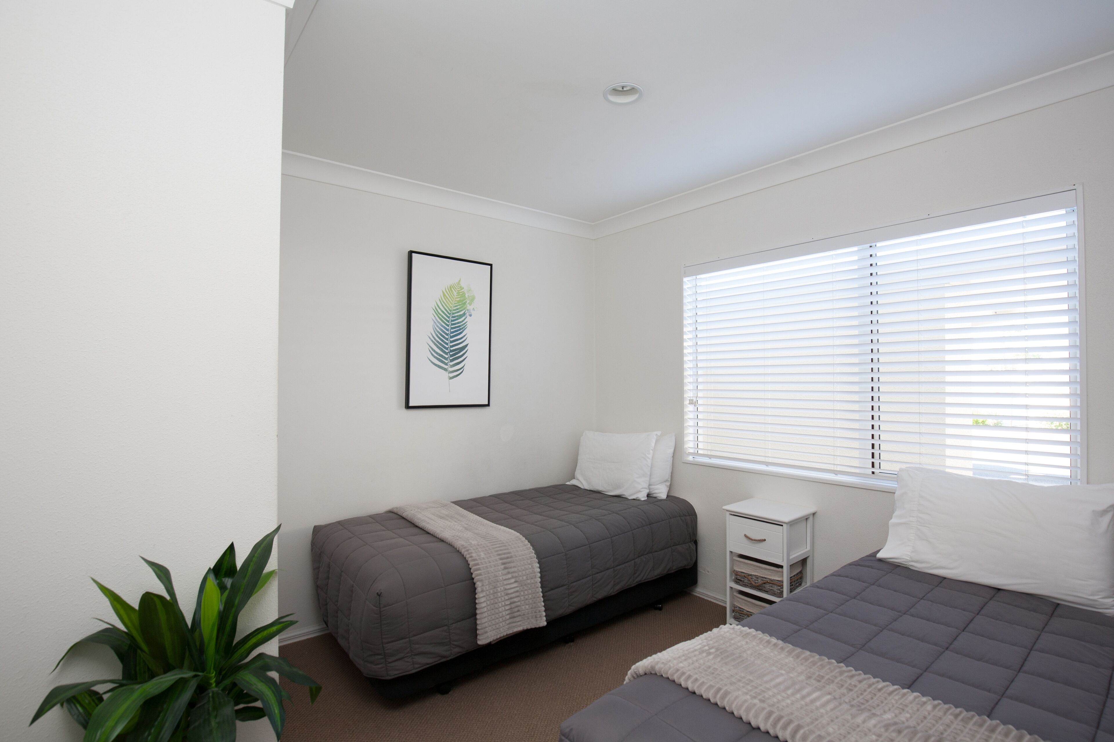 A bedroom with two beds, a bedside table, a potted plant, and a framed picture on the wall.