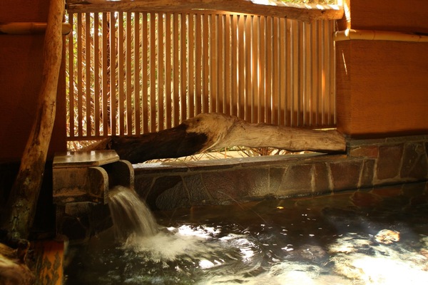 Public bath