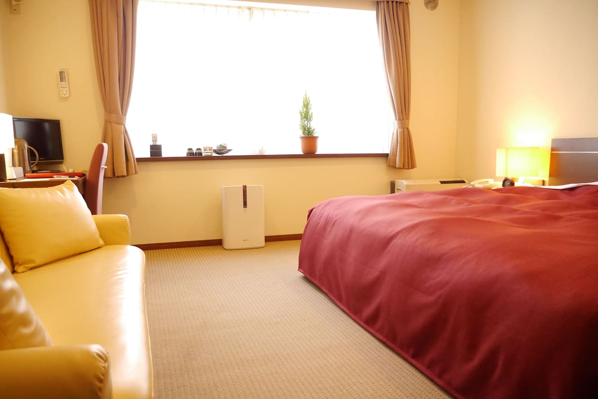 Camera d'albergo con un letto, un divano, una TV, un termosifone, una finestra con tende e una lampada.