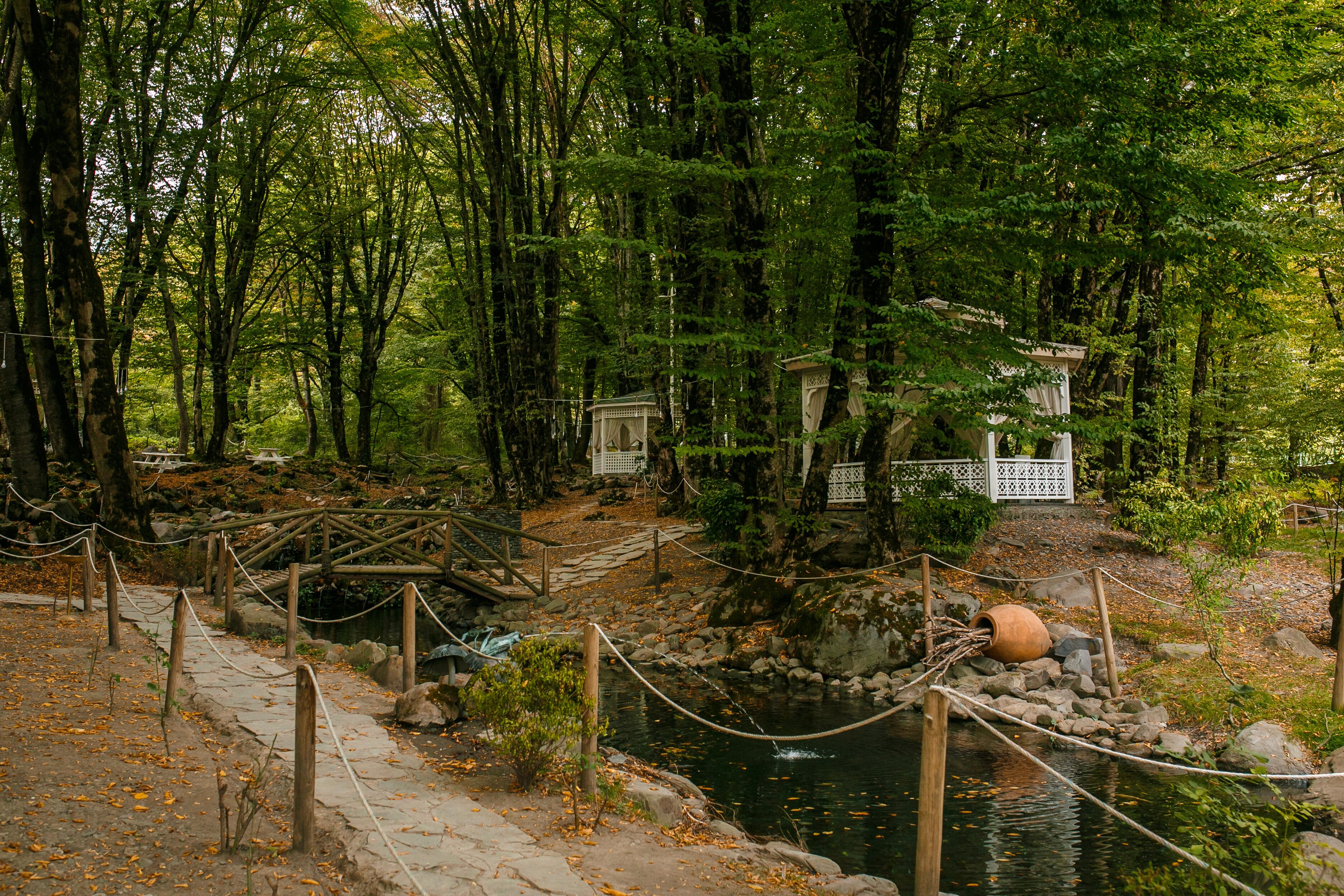 Une zone boisée avec un sentier en pierre menant à un étang, entouré d’arbres et d’une petite construction.