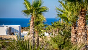 Una propiedad costera con palmeras, piscina y vista al mar.
