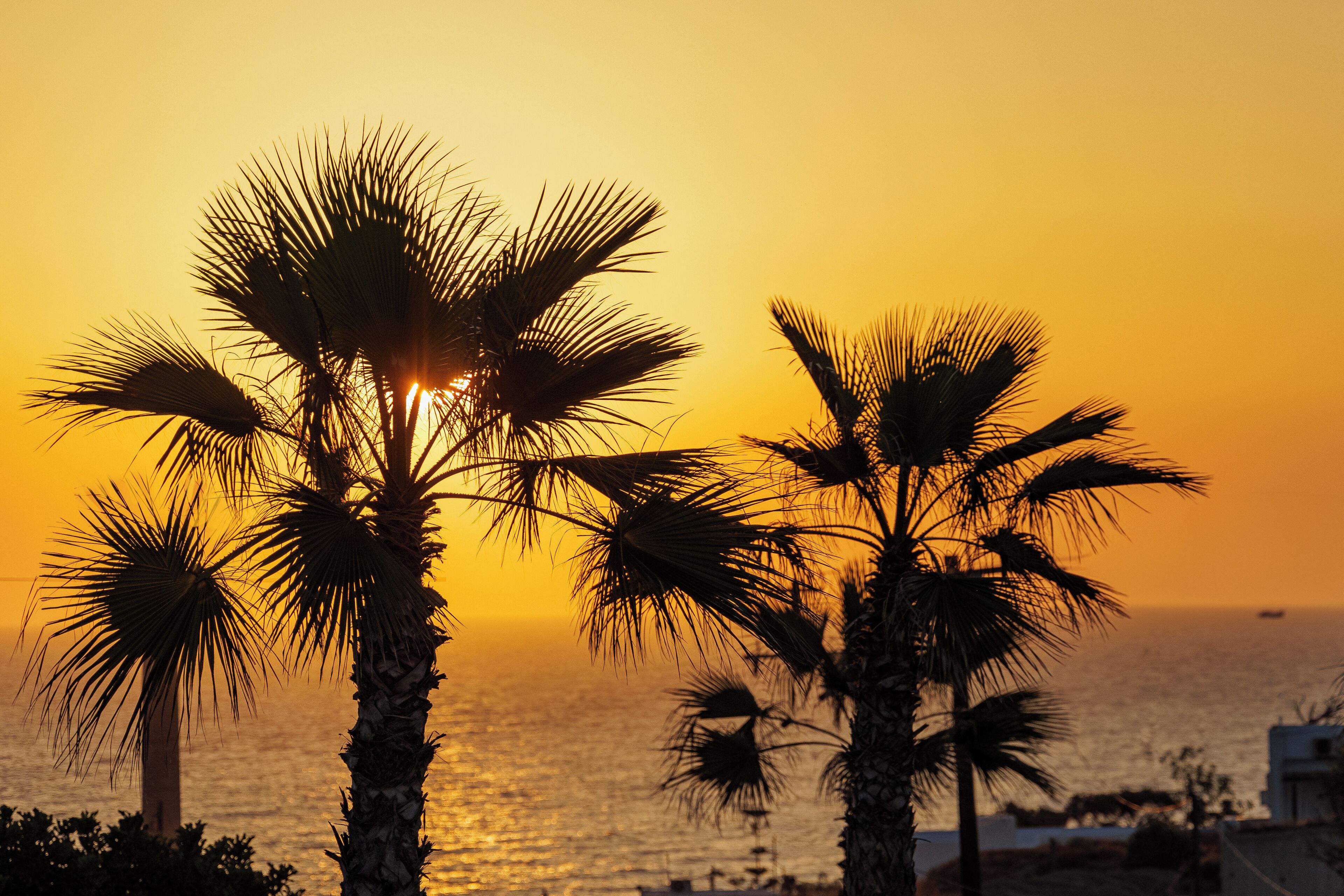 Foto - Desiterra Resort & Spa