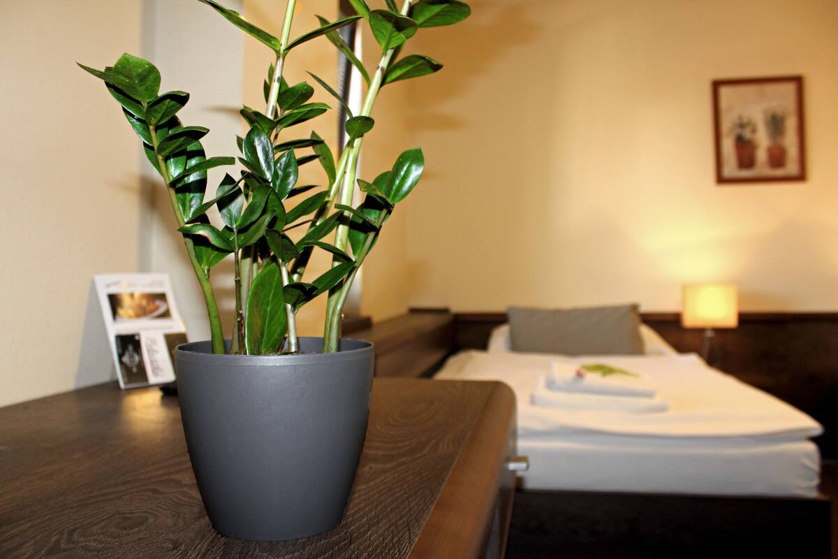 A potted plant on a wooden table in a hotel room with a neatly made bed and a picture frame on the wall.