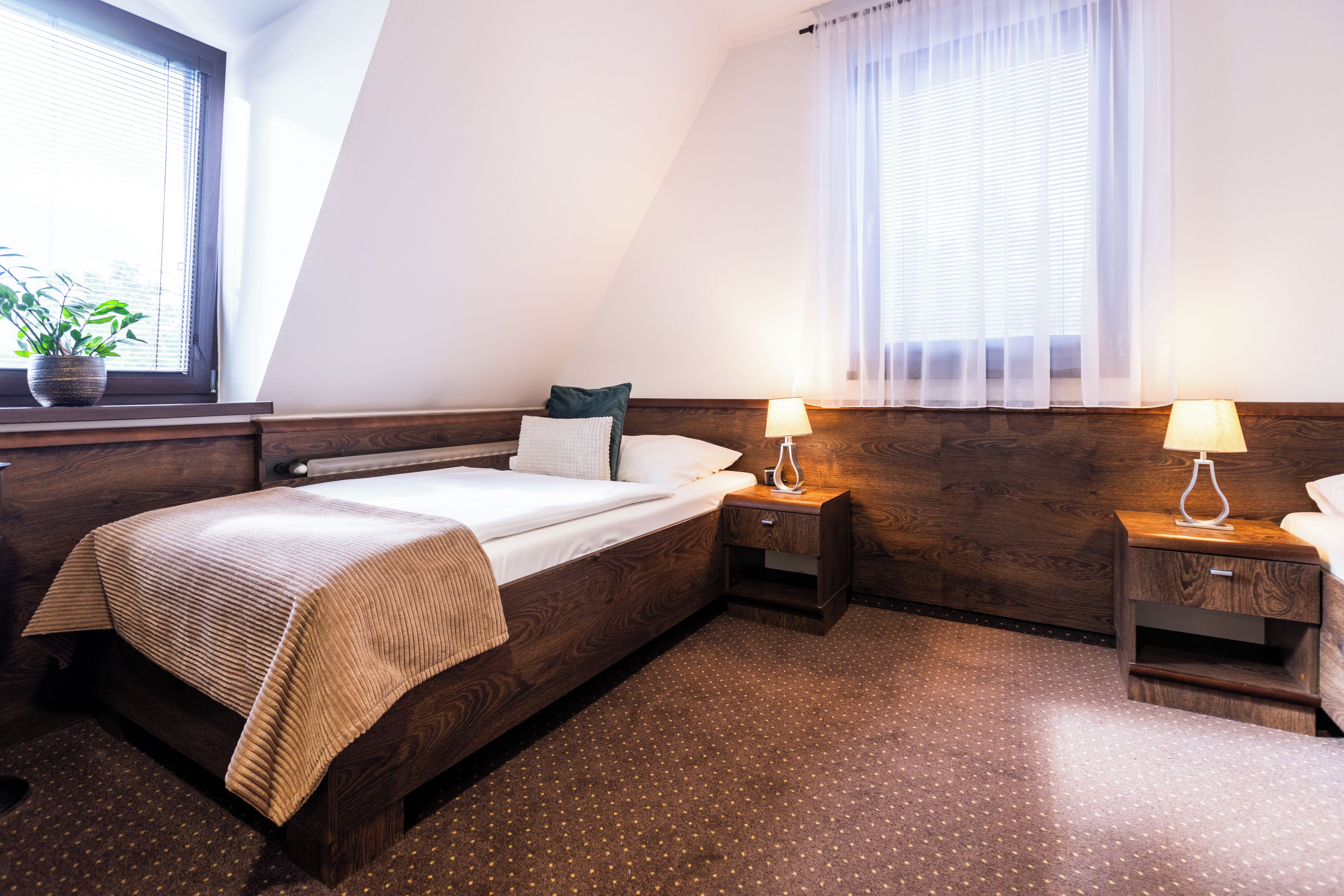 A hotel room with a bed, bedside tables, a lamp, a window with blinds, and a potted plant.
