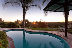 Outdoor pool, pool umbrellas, sun loungers