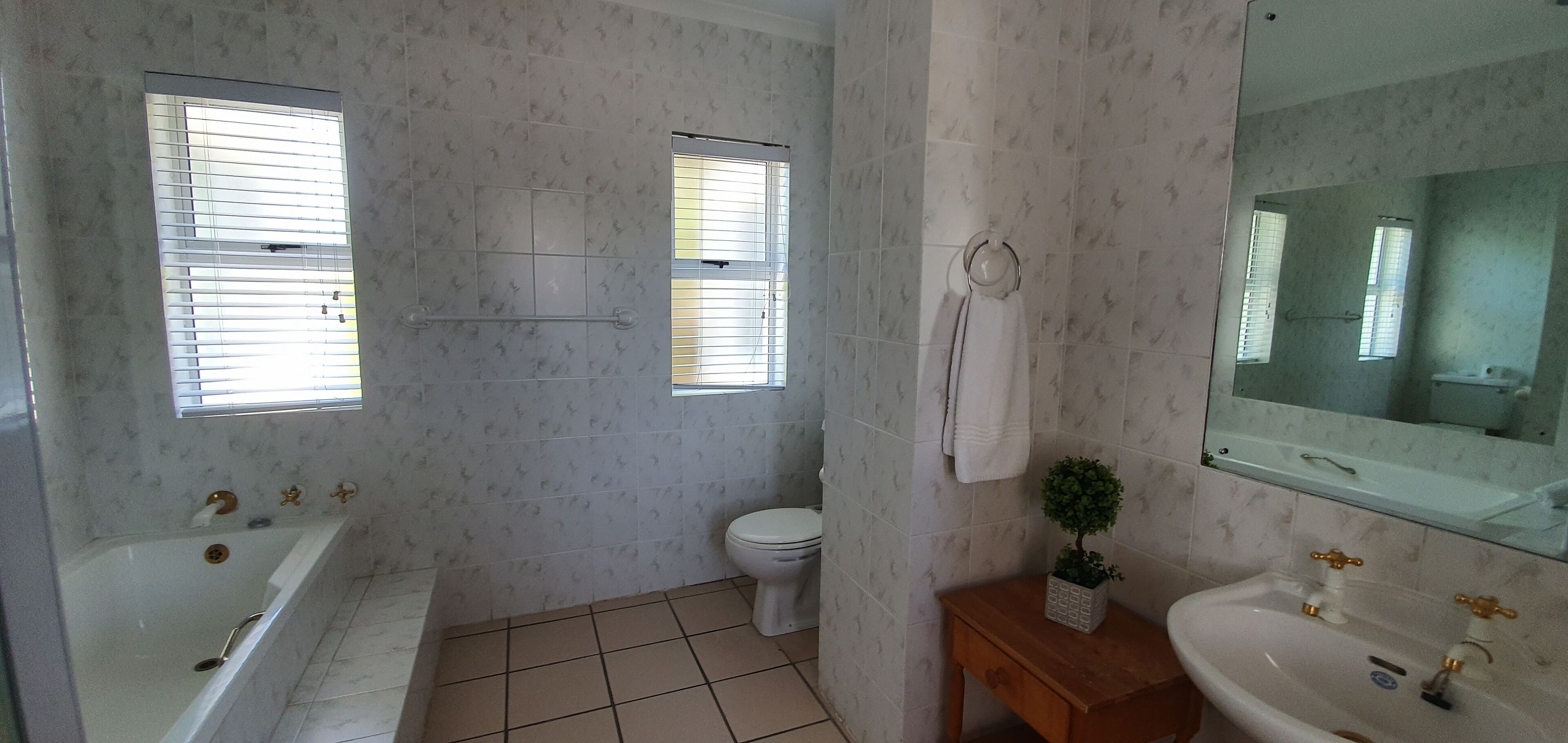 Un baño con bañera, inodoro, lavabo y una pequeña planta en maceta.
