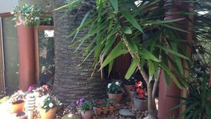 Un jardín con diversos maceteros y un muro de piedra.
