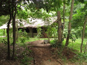 Phòng