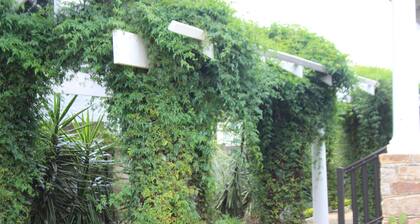 Villa Beryl Guesthouse