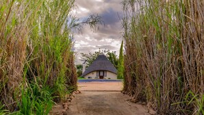 Une maison à toit de chaume, accessible par un chemin de terre, entourée d’herbes hautes.