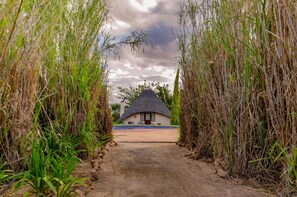 Property grounds - Galloway Guest House (Robertson)