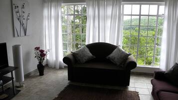 Télévision à écran plat