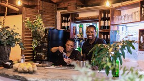 Una zona de bar con estantes de madera llenos de botellas y vasos, un refrigerador negro y plantas colgantes.