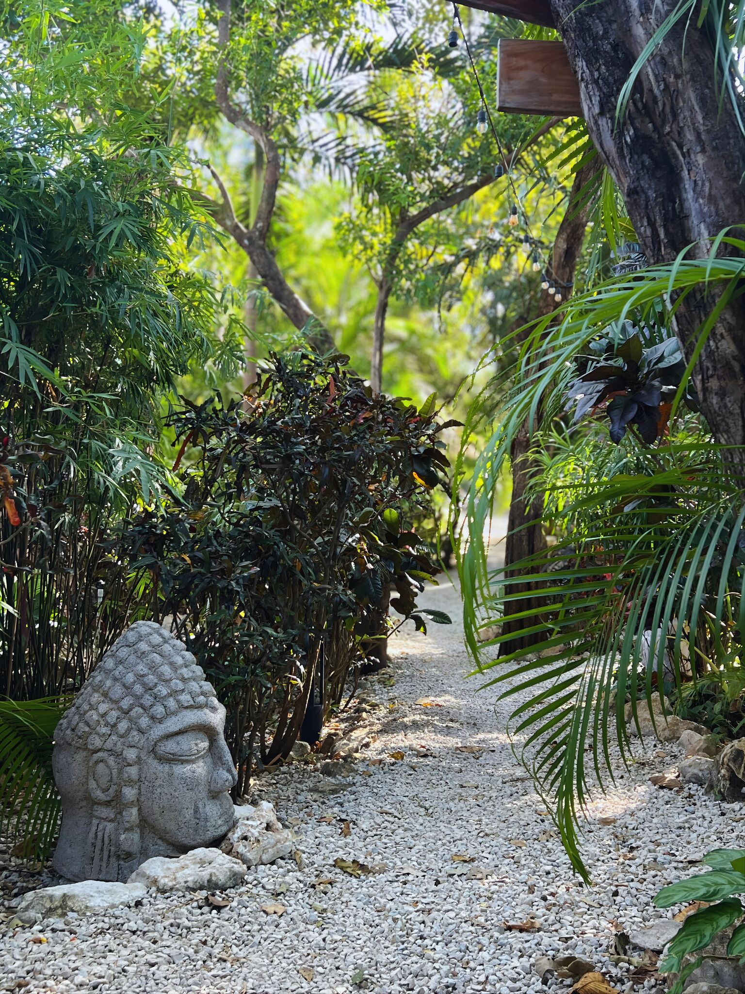 Un sendero en un jardín con una escultura de piedra, rodeado de abundante follaje y árboles.