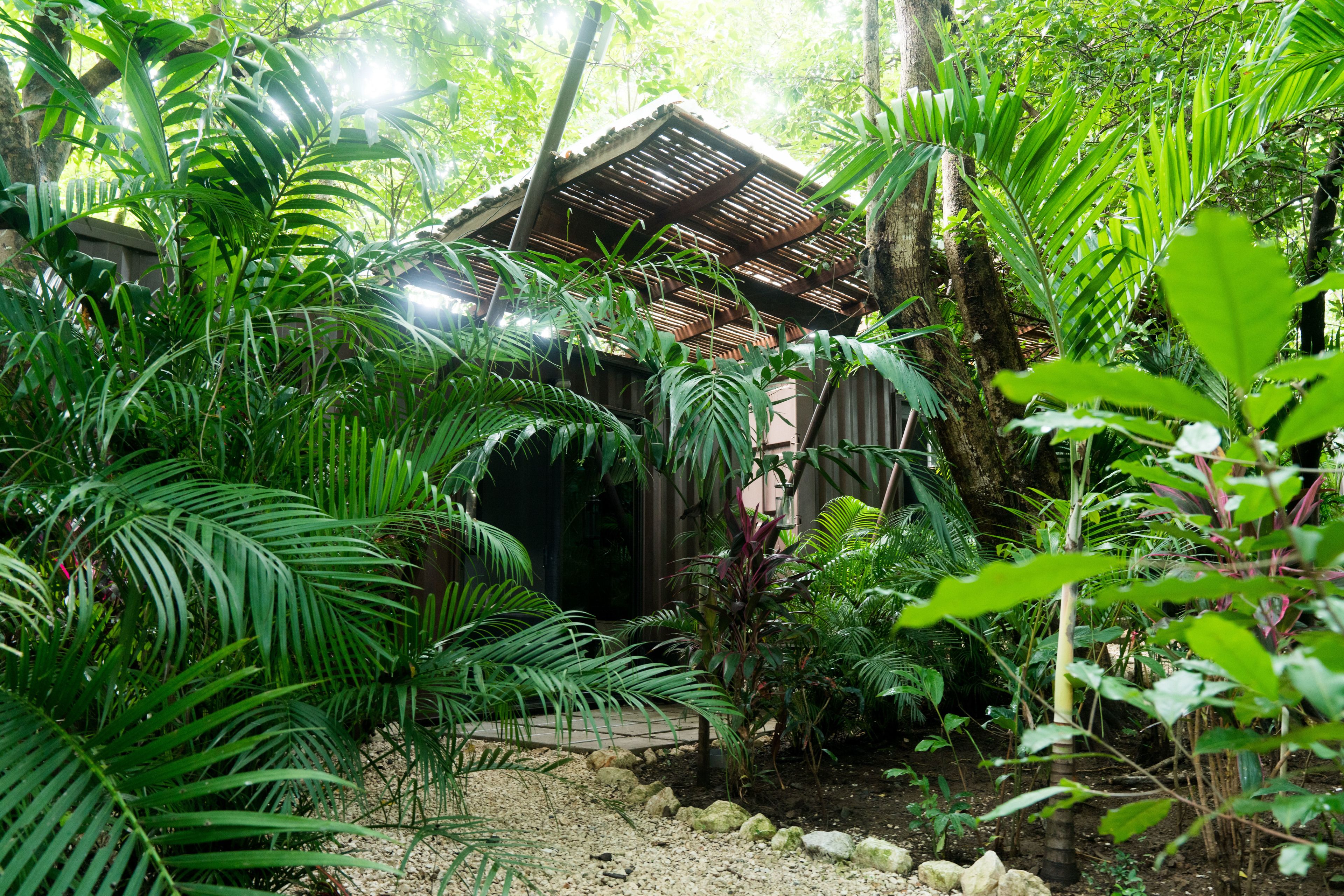 Shipping Container Triple room with Terrace Garden view | Egyptian cotton sheets, down duvets, pillow-top beds, minibar