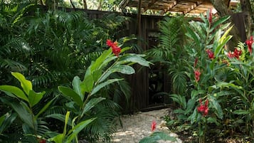Shipping Container Triple room with Terrace Garden view | Terrace/patio