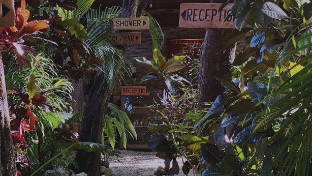 A tropical garden pathway leading to a reception area with directional signs for a shower, bar, and reception. - Green Sanctuary Hotel (Nosara)