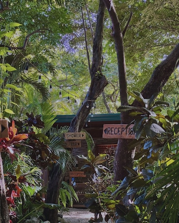 Front of property. Green Sanctuary Hotel