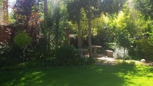 A lush garden with a variety of plants and trees, a stone pathway, and a large potted plant. - Primavera Guest House (Bloemfontein)