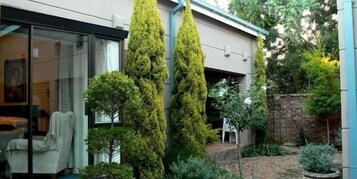Un patio con árboles altos y delgados, un camino de ladrillo y una silla blanca.