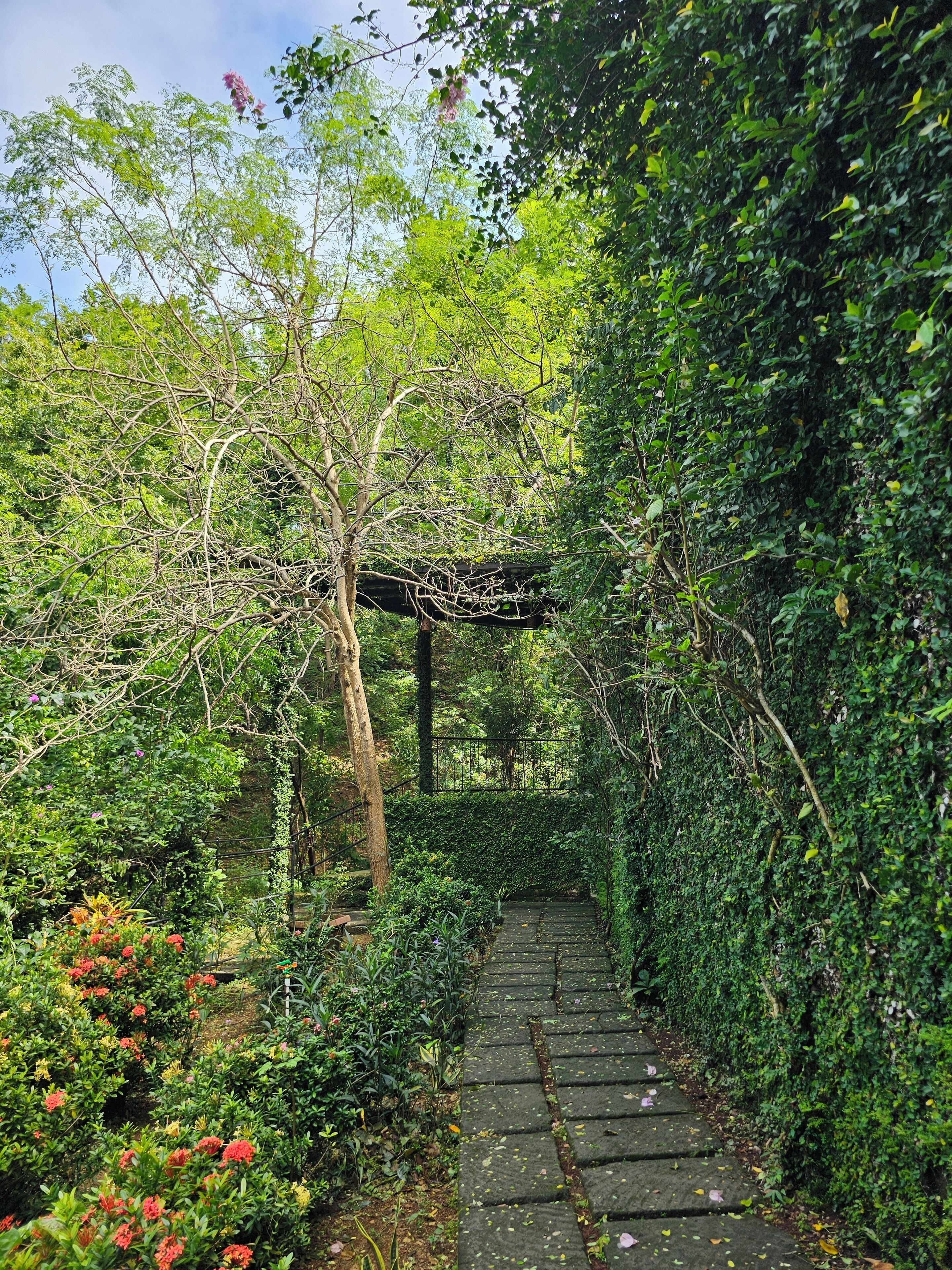 Deluxe Cabin, 1 Bedroom, Patio, Partial Sea View | Individually decorated, individually furnished, desk, free WiFi