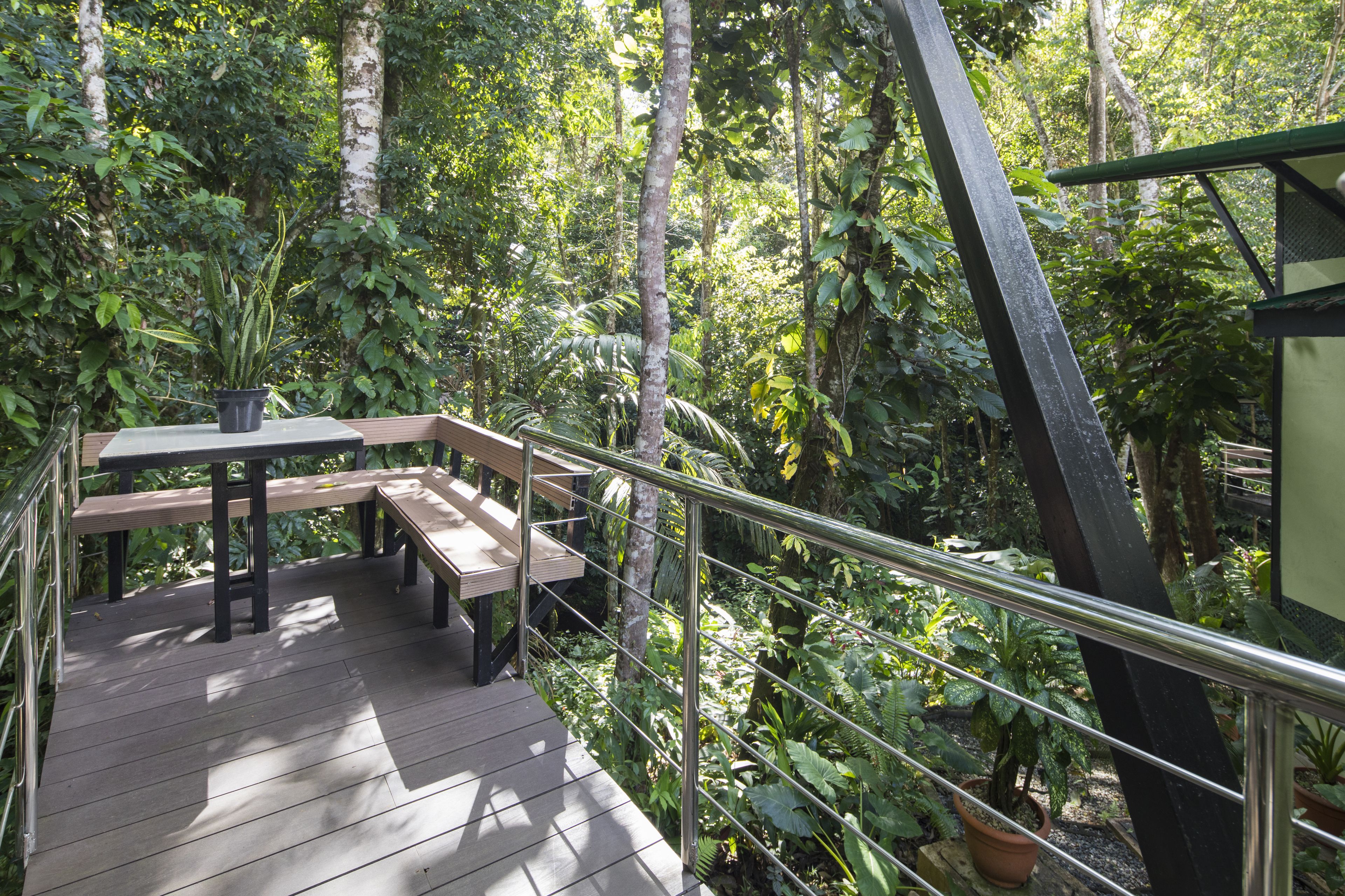 Standard Bungalow, 1 King Bed, Balcony, Mountain View (Cabecar) | Balcony